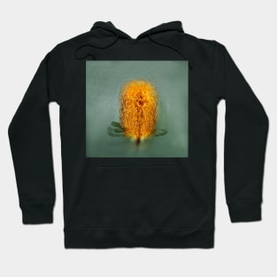 Banksia in the Round Hoodie